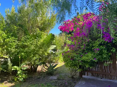 a garden with pink flowers on a fence at Sunset Beach Living Guesthouse in Cape Town