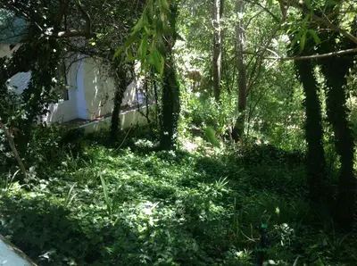 a field of grass with trees and a building at Little Willow Brooke in Franschhoek