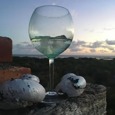 a glass of wine sitting on top of a rock at Sea front Rocky Pools in Bettyʼs Bay