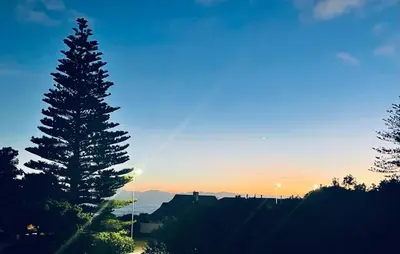a view of a sunset with a tree in the foreground at Villa Voigt in Hermanus