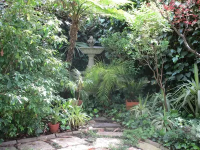 a fountain in the middle of a garden with plants at Invergara in Cape Town