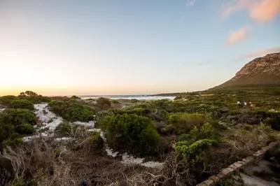 a view of the beach at sunset at Gecko House in Pringle Bay