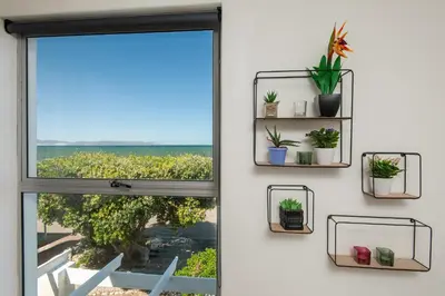 a room with a window with plants on shelves at 64 Whalerock Estate in Hermanus