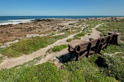 a bench sitting on top of a sandy beach at 64 Whalerock Estate in Hermanus
