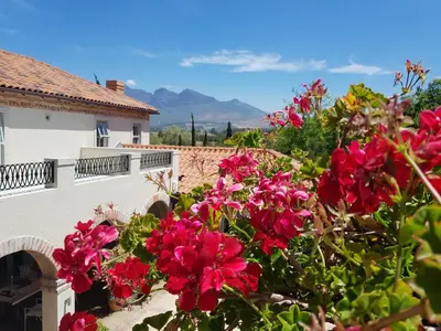 a garden with red flowers in front of a house at Sandmartins Private Secure Villa in Simondium