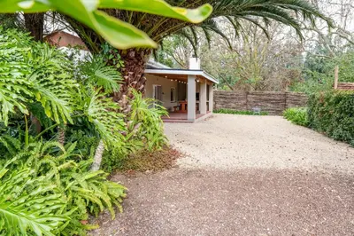 a house with a palm tree next to a fence at Hoogwater Garden Cottage in Wolseley
