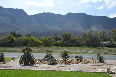 a group of animals laying on the ground near a river at Piece of Paradise in Hermanus