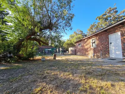 an empty yard next to a brick building with a tree at Hoogeland's Wood Cabins in Eersterivier