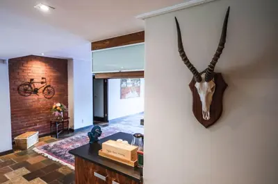 a wall with an animal head hanging on a wall at Home in Cape Town-The Homestead in Stellenbosch