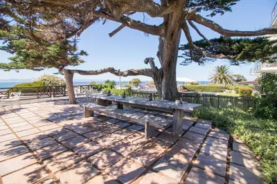 a picnic table under a tree next to the ocean at Harbour House Hotel - Harbour Square in Hermanus