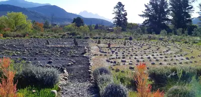 a large field of crops with mountains in the background at Akkedis at Artemis in Franschhoek