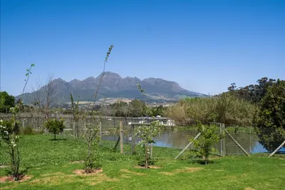 a garden with trees and a mountain in the background at Sunset Farm Stellenbosch in Stellenbosch