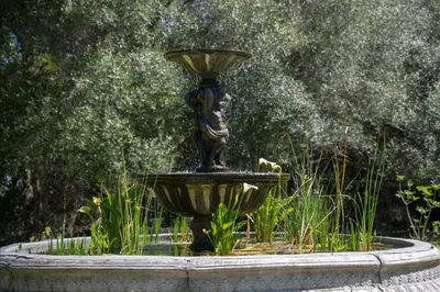 a fountain with a statue in the middle of a garden at Sunset Farm Stellenbosch in Stellenbosch