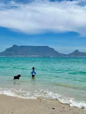 a person and a dog in the water at the beach at Sunset Beach holiday accommodation in Cape Town