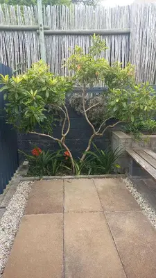 a garden with a bench and a fence at Yellow Door Hermanus in Hermanus