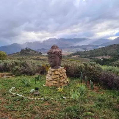 a statue sitting in the grass in a field at Exquisite chalet on private nature reserve in Wolseley