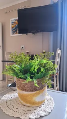 a potted plant sitting on top of a table at Senelle accomodation in Hermanus