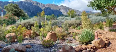 a garden of plants and rocks with mountains in the background at Gecko Cottage at Artemis in Franschhoek