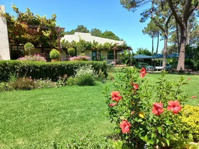 a garden with red flowers and a house at Wine Route 44 Guesthouse in Somerset West