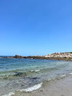 a body of water with a shoreline in the background at Aloe Ocean Flatlet in Bettyʼs Bay