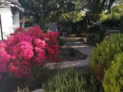 a garden with pink flowers next to a sidewalk at Beulah Lodge in Cape Town