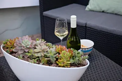 a bottle of wine and a potted plant and a wine glass at Aloe Aloe Cottage in Cape Town