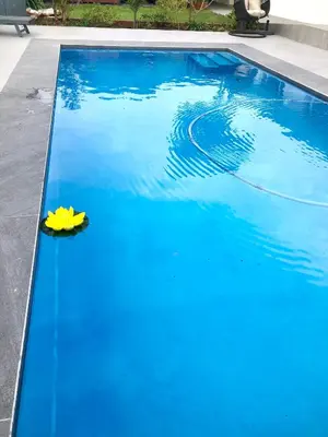 a yellow toy in a blue swimming pool at Bird Song Cottage - Table View in Cape Town