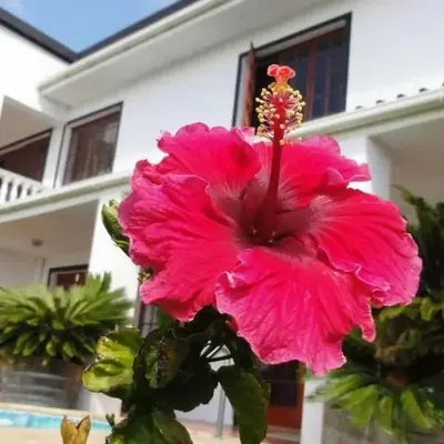 Helderberg Guesthouse