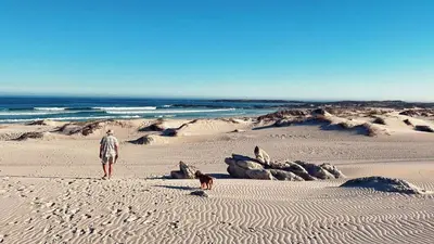a man and a dog walking on the beach at Stony Point Beach House in Clareport