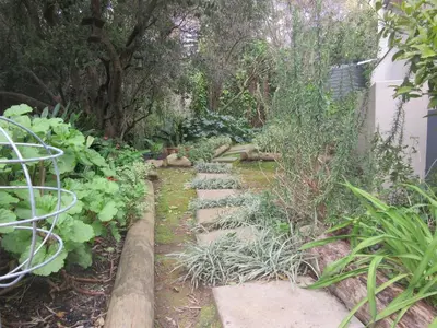 a garden with rocks and plants and trees at Pecan Tree Forest Studio A in Stellenbosch