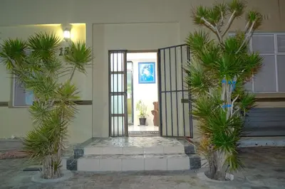 a hallway with palm trees in front of a door at Supa Guesthouse in Parow
