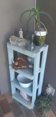 a blue shelf with a plant and a potted plant at Die Tuis Huis Selfcatering NO LOADSHEDDING in Worcester