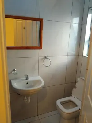 a bathroom with a sink and a toilet at Jacmo Guest house in Cape Town