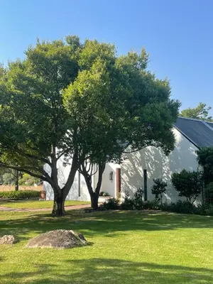 a white building with a tree in the yard at Mountain Cottages at Haskell Vineyard in Stellenbosch