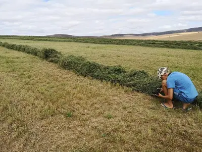 a woman taking a picture in a field with a camera at Blou Porselein Guestfarm in Hermon