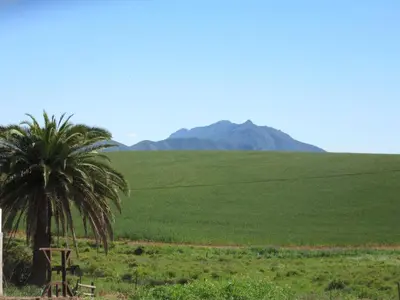 a palm tree and a picnic table in a field at Blou Porselein Guestfarm in Hermon