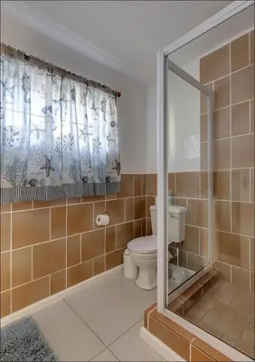 a bathroom with a toilet and a shower at Seaclusion in Hermanus