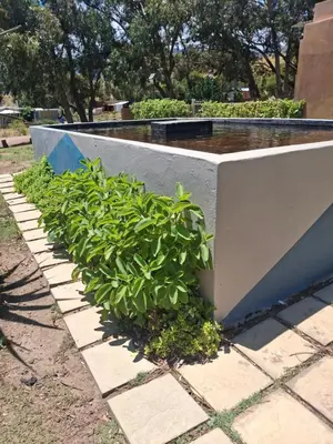 a row of plants in front of a fountain at 11 Mountain Stream Hot Tub Self Catering in Gordonʼs Bay