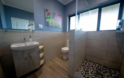 a bathroom with a shower and a sink and a toilet at The Butterfly Villa in Pringle Bay