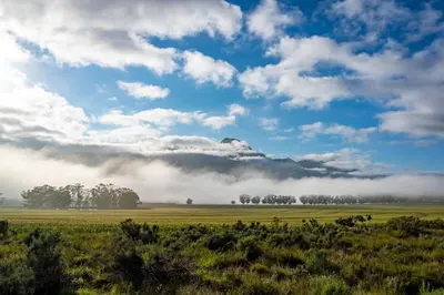 a field with trees and clouds in the sky at Wild Olive House at Bartholomeus Klip in Hermon