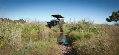 a truck driving down a dirt road in a field at Wild Olive House at Bartholomeus Klip in Hermon