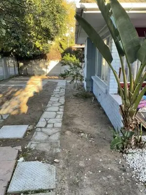 a house with a plant next to a house at Cub's Home in Cape Town