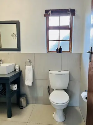 a bathroom with a white toilet and a sink at THE CORNER COTTAGE in Somerset West