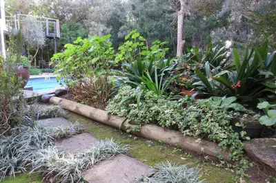 a garden with a swimming pool and some plants at Pecan Tree Forest Studio B in Stellenbosch