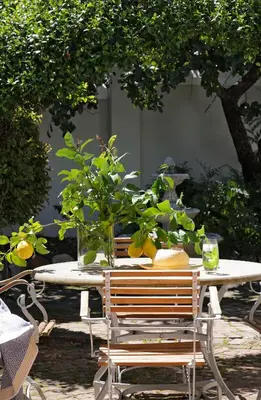 a table with potted plants on top of it at La Belle Vie in Franschhoek