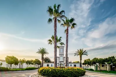 a group of palm trees in front of a building at Belina - Bougain Villas Premier in Cape Town