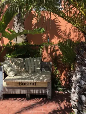 a couch sitting under a tree in a garden at Surfhostel Cape Town in Cape Town