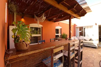 a bar with a potted plant on top of it at Surfhostel Cape Town in Cape Town