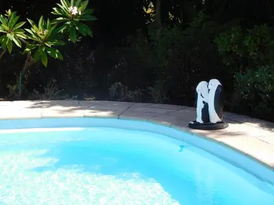 a penguin statue sitting next to a swimming pool at Garden- Pool flat with Solar Electricity in Somerset West