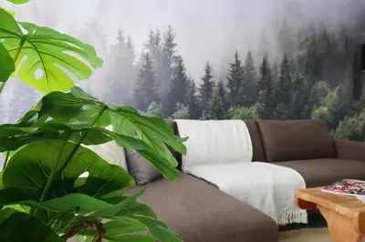 a living room with a couch and a forest at Quiet hidden gem in historic Stellenbosch in Stellenbosch